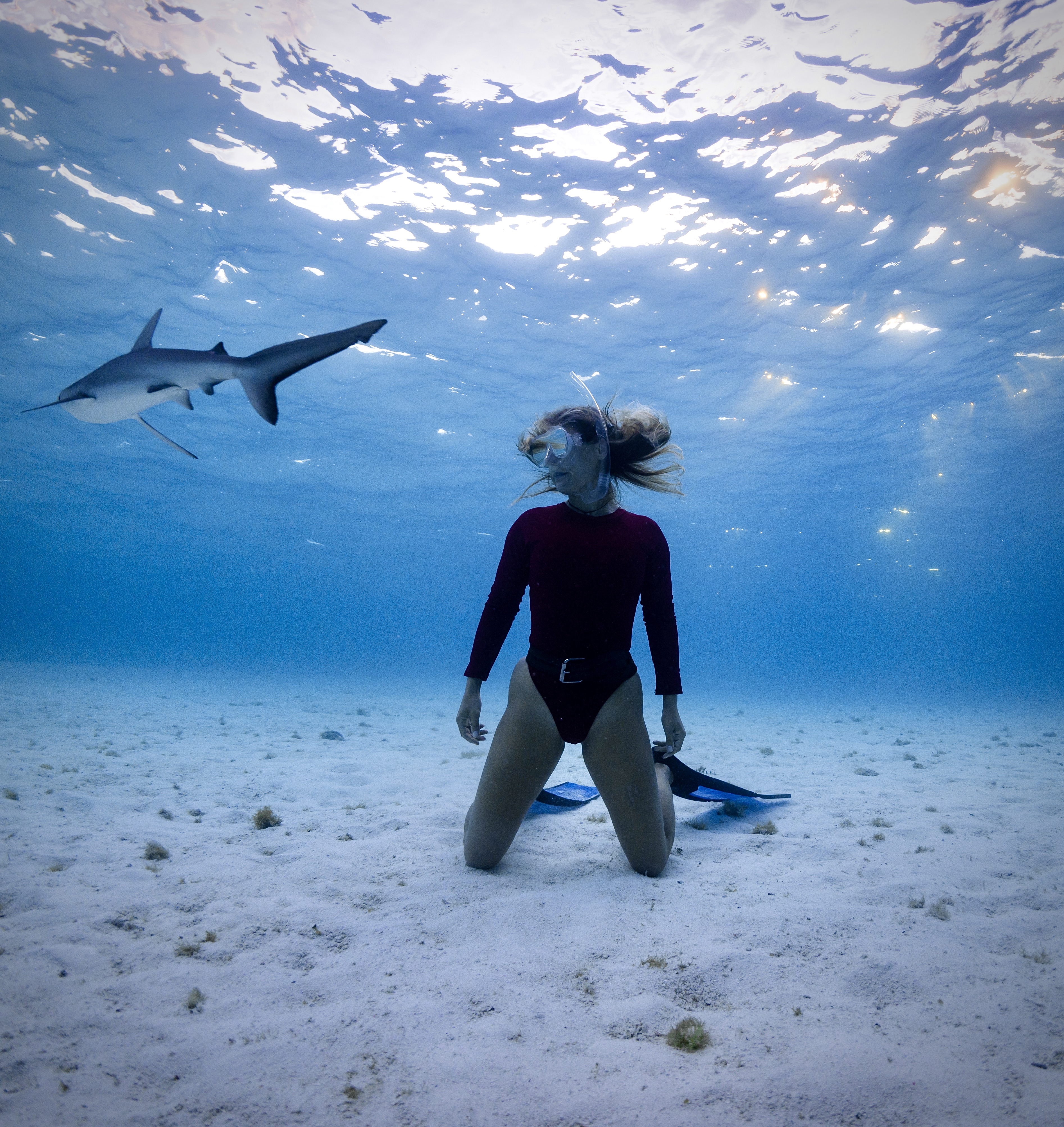 Diver in the water during fieldwork around Lord Howe Island.